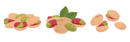 Illustration for Pistachio nuts heap. Pistachios handfuls, delicious tasty nuts snack, cartoon raw nuts in shell flat vector illustration set. Organic pistachio nuts on white - Royalty Free Image