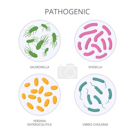 Illustration for Pathogenic bacteria. Cartoon biological microorganism, bad microbes and bacteria, pathogenic flora microorganism flat vector illustration. Bad microbiota in petri dish - Royalty Free Image
