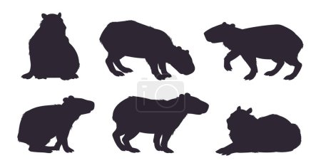 Téléchargez les illustrations : Ensemble silhouette capybara. Mignon mammifère hydrochoérus, capybaras semi-aquatiques animaux sauvages pochoir plat vecteur illustration ensemble. Collection silhouette Capybara - en licence libre de droit