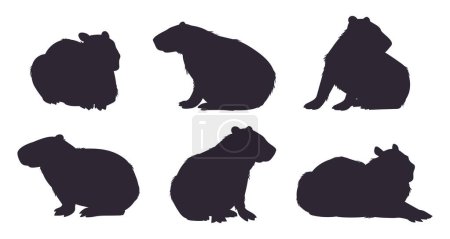 Ilustración de Siluetas de capibara silvestres. Dibujos animados lindo capibara mamíferos plantilla plana vector ilustración conjunto. Colección de siluetas de capibara semiacuática - Imagen libre de derechos