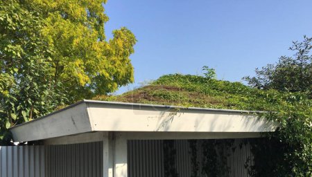Foto de Techo verde. Un techo verde no solo le permite utilizar racionalmente el espacio de vida, sino que también mejora la situación ecológica - Imagen libre de derechos