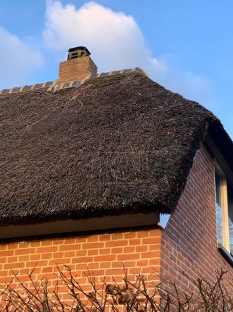 Téléchargez les photos : Thatched roof and chimney. Brick house with thatched roof close up. A thatched roof is made from annual reeds. Perennial reed is not suitable for this - en image libre de droit