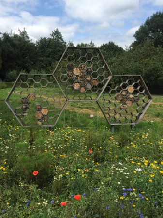 Foto de Hotel de insectos con estructura de panal. Se encuentra en un prado de flores con una mezcla perenne de flores que sirven como alimento para las abejas silvestres. Jardines de Mien Ruys, Países Bajos, 4 de agosto de 2019 - Imagen libre de derechos