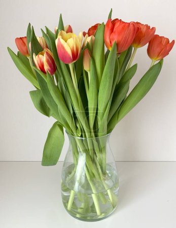 Téléchargez les photos : Bouquet de tulipes rouges dans un vase en verre sur la table. Fond blanc - en image libre de droit