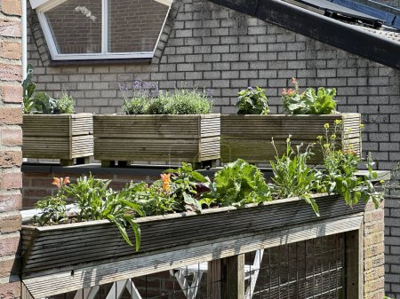Balcony with fragrant herbs in a wooden containers