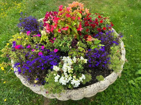 Foto de Cama de flores con flores brillantes de cerca. Maceta redonda de hormigón en la hierba verde. Francia, Borgoña - Imagen libre de derechos