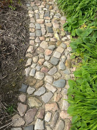 camino de piedra en el jardín