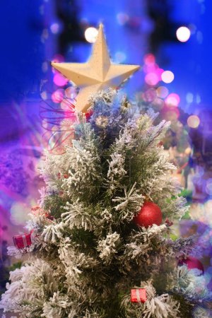 Photo for Christmas trees background. Unadorned and decorated. - Royalty Free Image