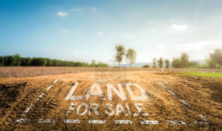 Land plot management - real estate concept with a vacant land on a green field available for building construction and housing subdivision in a residential area for sale, rent, buy or investment.