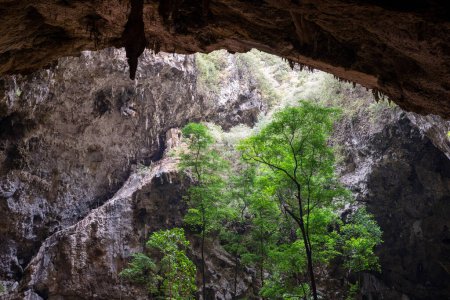 Foto de Vista de ángulo bajo de una salida de cueva oscura con luz solar que fluye en el eje de la cueva. - Imagen libre de derechos