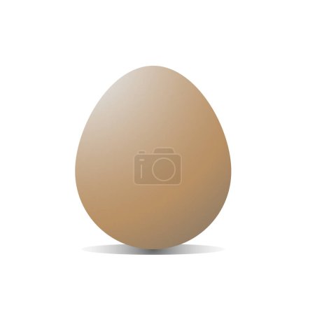 Photo for Egg isolated on white background.Vetor illustration - Royalty Free Image