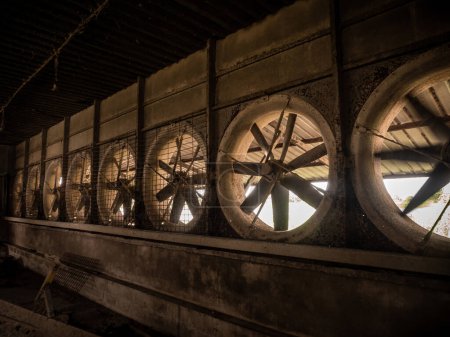 Téléchargez les photos : Une rangée de vieux ventilateurs d'échappement de l'élevage - en image libre de droit