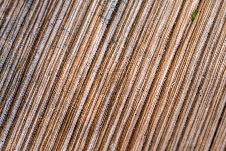 Foto de Polvo y la superficie texturizada de las vainas de hoja de areca - Imagen libre de derechos