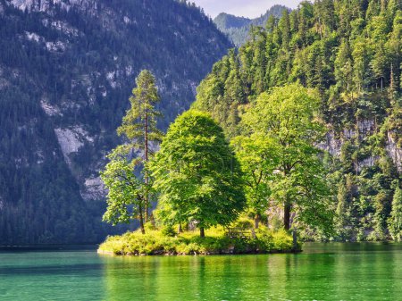 Téléchargez les photos : Paysage d'une île pleine d'arbres dans le lac Konigssee, Bavière, Allemagne - en image libre de droit