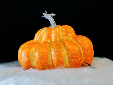 Téléchargez les photos : Décoration Halloween citrouille et araignée close-up. Photo de haute qualité - en image libre de droit