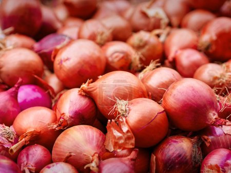 Photo for Red onions for sale close-up in street market stall. High quality photo - Royalty Free Image