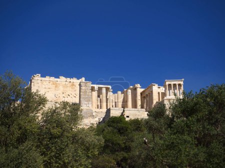 Acropolis propylaea gate under blue sky. Groups of olive trees in the foreground. 