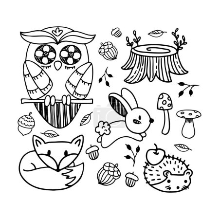 Ilustración de Dibujo vectorial dibujado a mano. Colección de plantas y animales forestales. Champiñones, hierba, avellanas, bayas, zorro, búho, erizo, conejo - Imagen libre de derechos