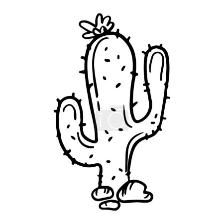 Vector Single Sketch Cacti Mexico