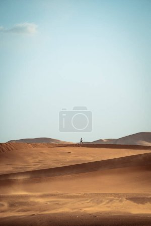 Photo for Lonely walker in Sahara Desert Merzouga Person Morocco. High quality photo - Royalty Free Image