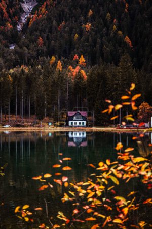Photo for Autumn Fall colours of Toblacher See, Lago di Dobbiaco with a house and reflections in Dolomites Italy. High quality photo - Royalty Free Image