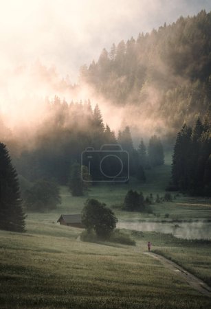 Foto de Foggy Sunrise en Geroldsee, también Wagenbruchsee, Baviera, Alemania, Europa. Foto de alta calidad - Imagen libre de derechos