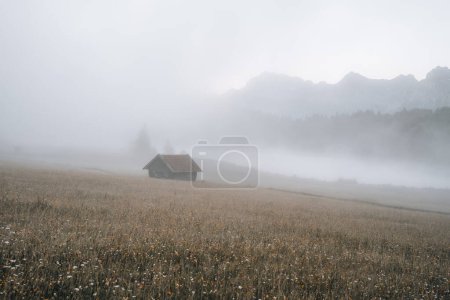 Foto de Prados a la salida del sol niebla en Geroldsee, Wagenbruchsee, Baviera, Alemania Europa. Foto de alta calidad - Imagen libre de derechos