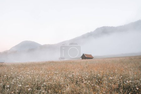 Foto de Prados a la salida del sol niebla en Geroldsee, Wagenbruchsee, Baviera, Alemania Europa. Foto de alta calidad - Imagen libre de derechos