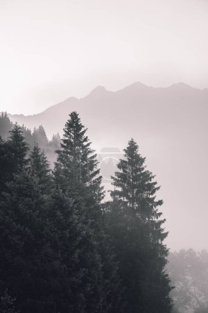 Foto de Vista de las montañas al amanecer en Geroldsee, Wagenbruchsee, Baviera, Alemania. Foto de alta calidad - Imagen libre de derechos