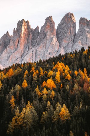 Téléchargez les photos : Vue sur la chaîne de montagnes en automne, Sainte-Madeleine Tyrol du Sud, Les Dolomites Italie. Photo de haute qualité - en image libre de droit