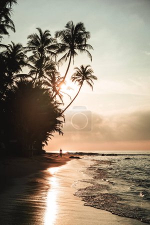 Photo for Sunrise with palm trees and silhouette of a person on Sri Lanka beach. High quality photo - Royalty Free Image