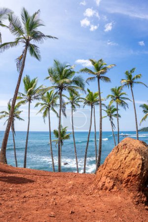 Photo for Famous Coconut Tree Hill in Mirissa, Sri Lanka Beach next to the Indian Ocean. High quality photo - Royalty Free Image