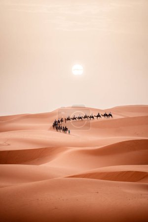 Photo for Camel trek during sunrise with tourists in the sahara desert, Merzouga Morocco. High quality photo - Royalty Free Image