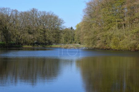 Photo for Spring in the Valley of the River Fulde, Walsrode, Lower Saxony - Royalty Free Image