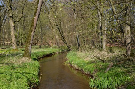 Photo for Landscape in Spring in the valley of the River Fulde, Lower Saxony - Royalty Free Image