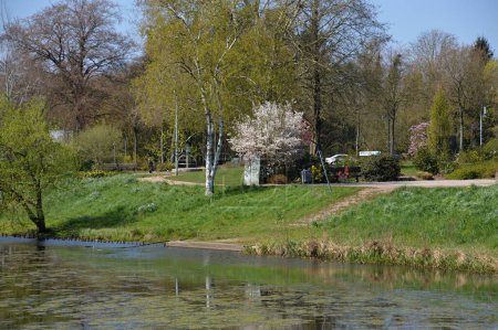 Spring in the Town Walsrode, Lower Saxony