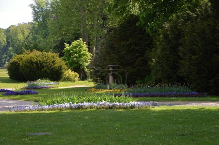 Téléchargez les photos : Park in Spring on the Island Pfaueninsel, Zehlendorf in Berlin, the Capital City of Germany - en image libre de droit