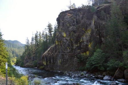 Foto de Landscape at the Umpqua River in the Cascade Range, Oregon - Imagen libre de derechos
