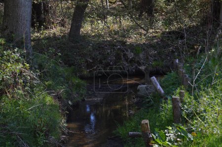 Photo for Stream in Spring in the Town Walsrode, Lower Saxony - Royalty Free Image
