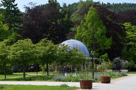 Park in the Town Friedrichroda, Thuringia