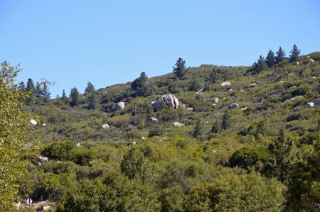 Téléchargez les photos : Paysage panoramique au mont San Jacinto, Californie - en image libre de droit
