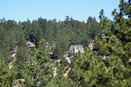 Téléchargez les photos : Paysage au Mont San Jacinto, Californie - en image libre de droit