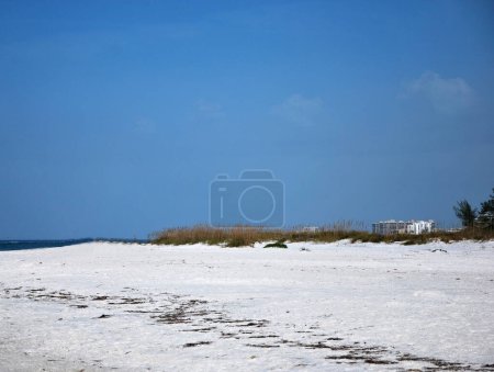 Foto de Playa en el Golfo de México en Sarasota, Florida - Imagen libre de derechos
