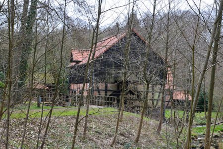 Historische Wassermühle im Frühling, Cordingen Niedersachsen