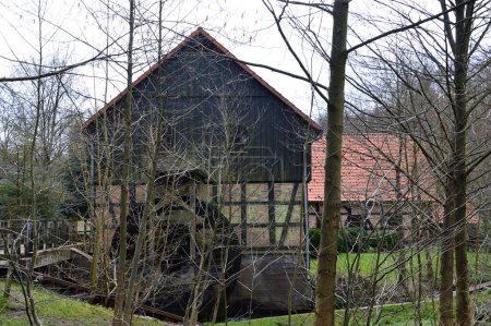 Historische Wassermühle im Frühling, Cordingen, Walsrrode, Niedersachsen
