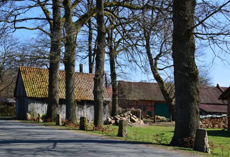 Historical Farm in Spring in the Village Altenboitzen, Lower Saxony