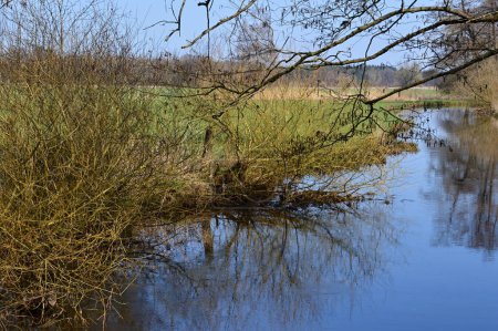 Landscape in Spring at the River Boehme, Neumuehlen, Lower Saxony