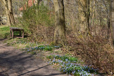 Landscape in Spring at the River Boehme, Neumuehlen, Lower Saxony