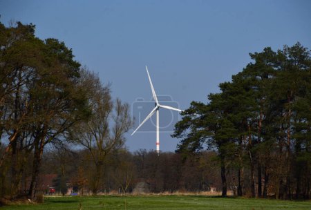Photo for Wind Wheel in the Heath Lueneburger Heide, Lower Saxony - Royalty Free Image
