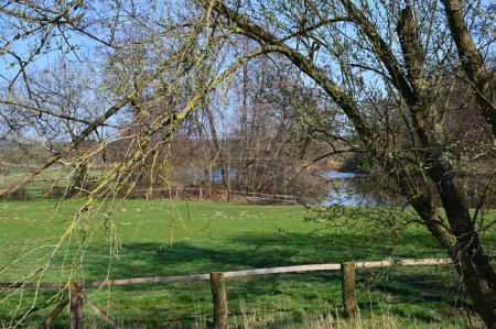 Spring in the Village Bierde, Lower Saxony